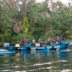 Fuerza Naval del Caribe incauta cargamento ilegal de madera fuerza naval