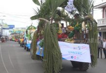 Población de Estelí participa en el carnaval de la producción nicaragua