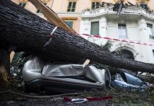 Cae árbol durante tormentas en norte de Italia y mata a dos victimas mortales