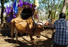 Devotos de Masaya y Granada se preparan para enrumbarse hacia Popoyuapa nicaragua