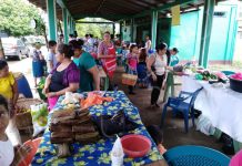 Dinamismo económico en el ámbito de fiestas marianas en Nueva Guinea nicaragua