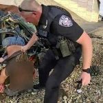 Policías sacan a un hombre por la ventanilla de un coche en llamas (VIDEO) estados unidos