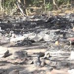 Nandaime: anciana de 80 años que vivía sola, pierde todo en incendio nicaragua