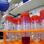 Catar registra el primer caso de coronavirus y revisan otros pacientes nicaragua