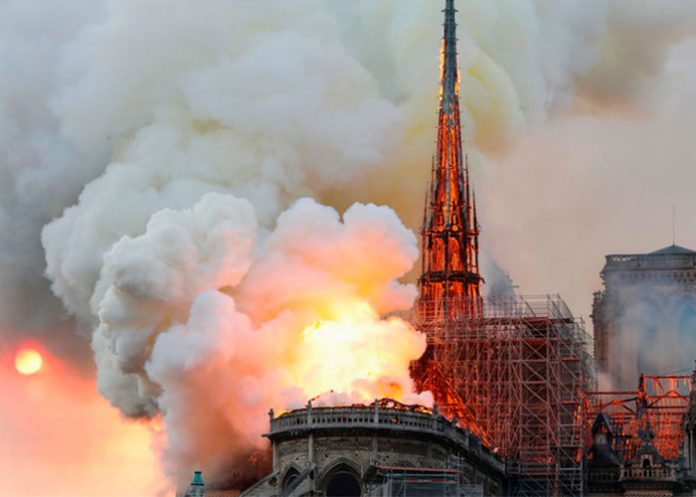 catedral catedral de notre dame