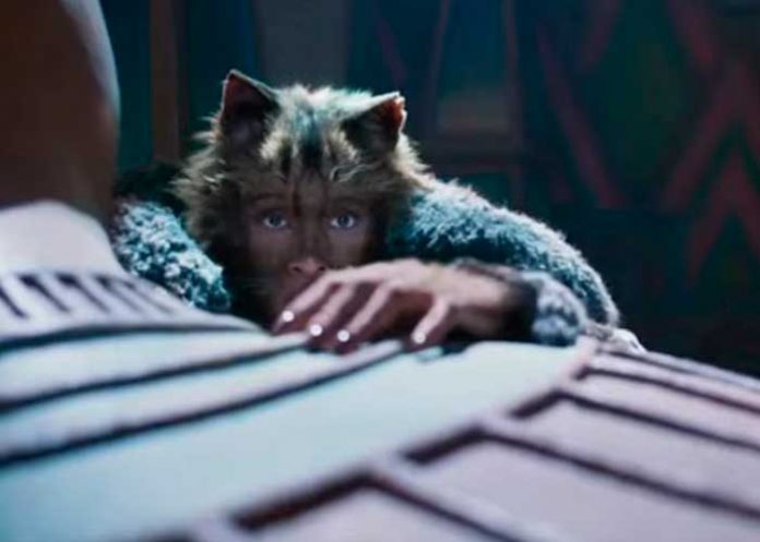 cats-pelicula cats