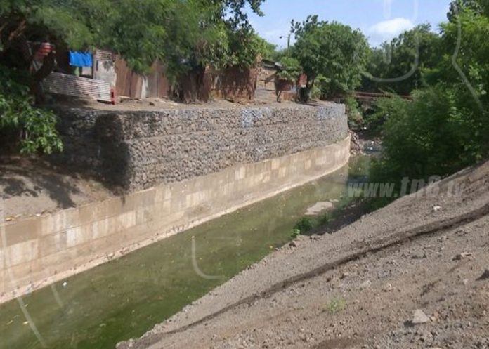 cauce-domitila-lugo-2 nicaragua