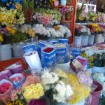 Grandes expectativas de comerciantes por venta de flores para este 2 de noviembre nicaragua