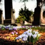 Egipto: Fallece y meses después lo encuentran caminando en el cementerio egipto