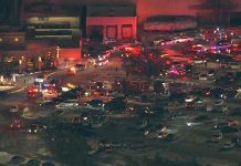 Tiroteo en un centro comercial de EE.UU. deja un hombre muerto estados unidos