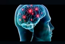Analizan cómo trabaja el cerebro cuando hay recuerdos no deseados analizan