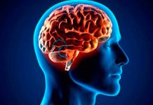 ¿Cómo los científicos quieren impedir que te puedan hackear el cerebro? cientificos