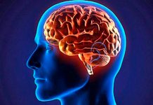 Las personas creativas reservan un lugar especial del cerebro para soñar