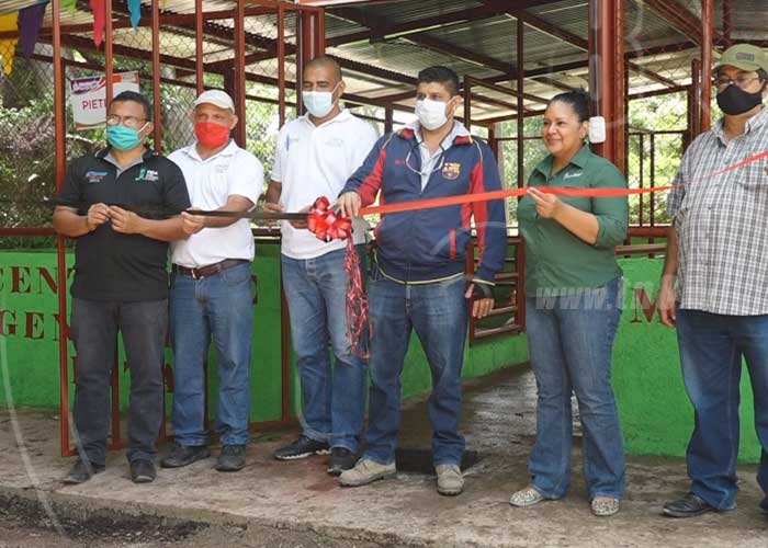 cerdo-esteli-granja-02 nicaragua