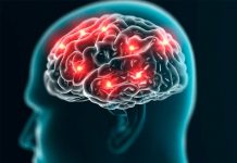 Esto le pasa a nuestro cerebro cuando perdemos el conocimiento materia gris