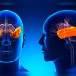 Crean videojuegos y robots para terapia de rehabilitación motora funciones motoras