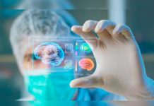 Células inmunitarias del cerebro poseen una «memoria inmunológica» celulas inmunitarias
