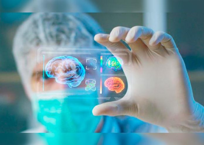 celulas inmunitarias