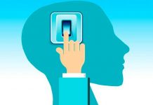 Descubren que afecta más al cerebro ¿alcohol o marihuana? cerebro