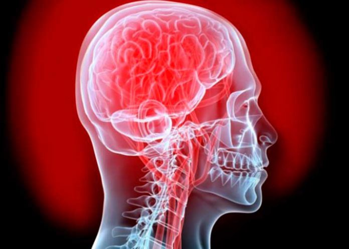 cere_gAEbzqB cambios en molecula elf4e