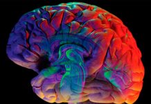 Logran aumentar la vida de pacientes con metástasis cerebral metastasis cerebral