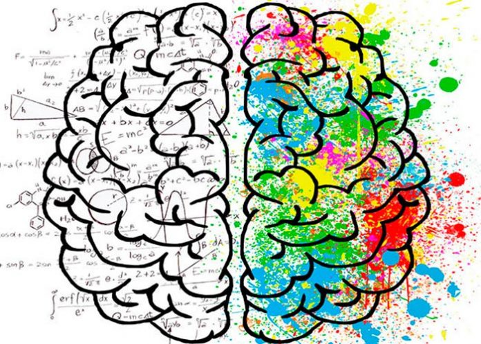 biologos moleculares