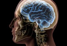 El cerebro de la mujer es 3 años más joven que el de los hombres