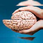 Estos son los hábito que hacen envejecer nuestro cerebro salud