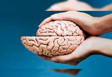 Estos son los hábito que hacen envejecer nuestro cerebro salud