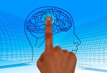 Desarrollan un estimulador eléctrico cerebral para epilépticos stendrode