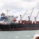 Oro, café y carne, principal exportación de Nicaragua en enero 2020 nicaragua