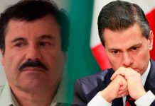 Peña Nieto recibía dinero de «El Chapo» entre «los huevos»