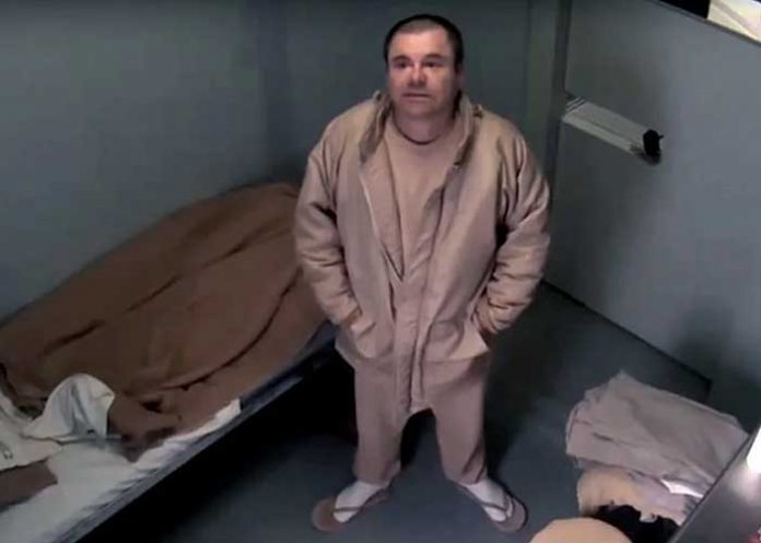 chapo-_DTJiUfD estados unidos