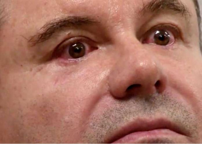 chapo-_XsLXzJj estados unidos