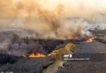 Nuevos focos de combustión amenazan zona de exclusión de Chernóbil