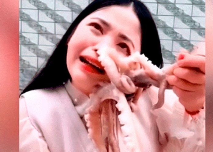 chi_ojm24cv criatura