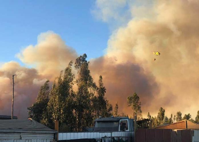 chile-1_KycQts2 chile