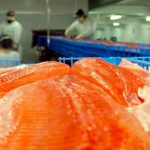 Chile investiga presencia de covid-19 en productos marinos enviado a China chile
