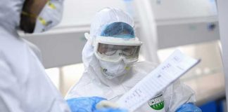 coronavirus