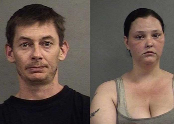 chinches-uno estados unidos