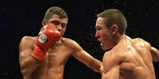 boxeo