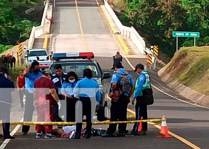 nicargaua. caribe sur, bestia, hombre , policia,