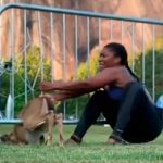 «Heroína sin Capa» salvó de la muerte dos veces a un ciervo estados unidos