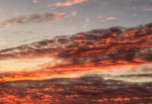 Esta puede ser la cantidad de virus que caen del cielo virus