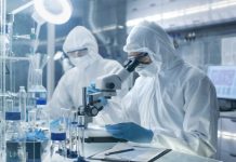 Científicos descubren un nuevo tipo de «virus auxiliar» en Japón mundo