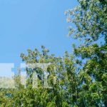 Frente Frío en Nicaragua: Temperaturas de 14 grados en el Norte nicaragua