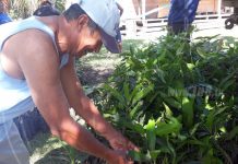 Convenio entre INAFOR y ENACAL beneficia a comunidades indígenas del Caribe Norte nicaragua