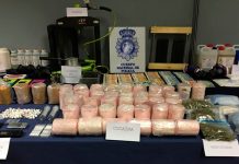 VIDEO: Decomisan más 700 kilos de cocaína escondidos dentro de piñas