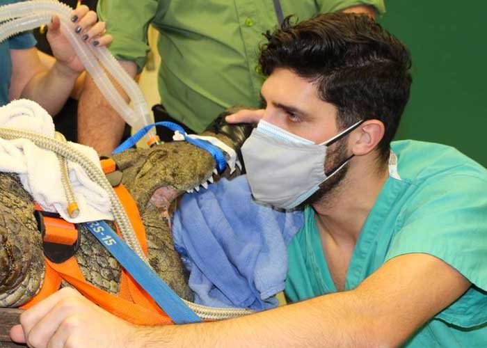 coco-1_EebJxcK florida