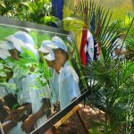 Realizan lanzamiento del concurso intercolegial Escuelas Verdes 2020-2021 nicaragua